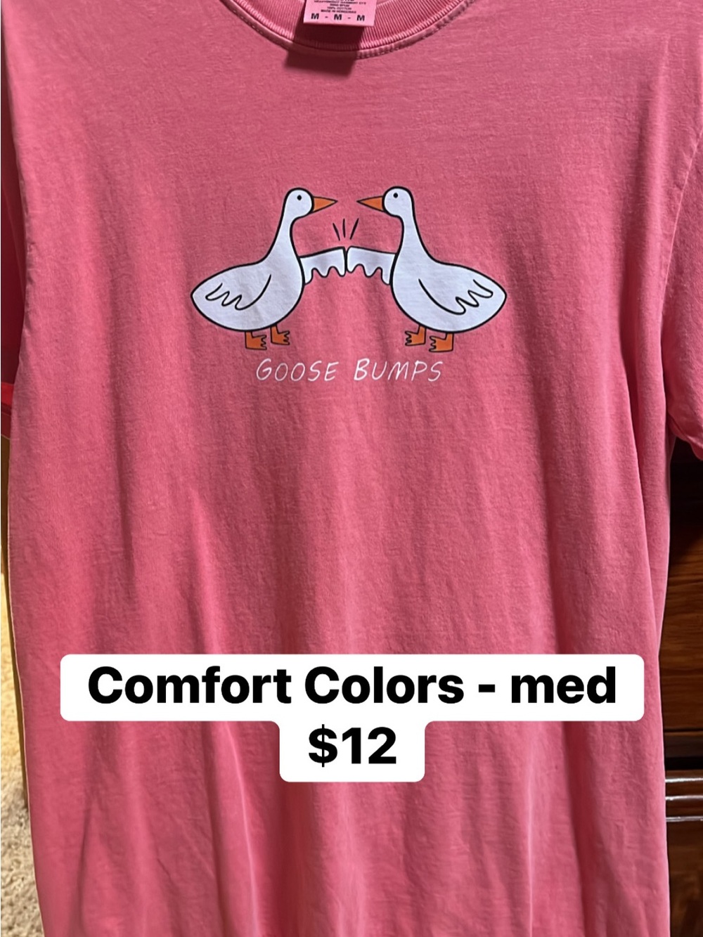 Comfort Colors Pink Goose Bumps Graphic Tee with White Geese